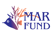 MAR Fund – Protecting the Mesoamerican Reef